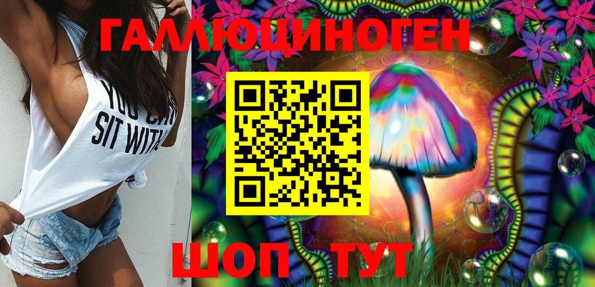 Галлюциногенные грибы Psilocybe Архангельск