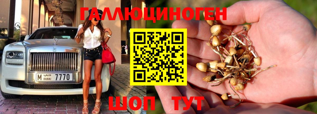 Галлюциногенные грибы мицелий  Псилоцибиновые грибы ЛСД  Вход с VPN  Архангельск 